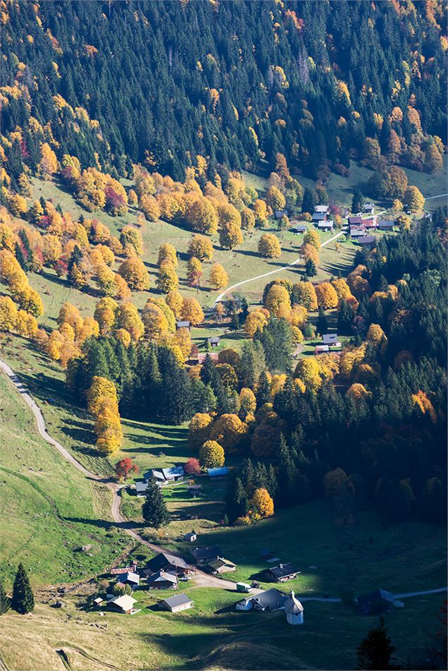 Graydon en automne - Yvan Tisseyre/OT Vallée d'Aulps