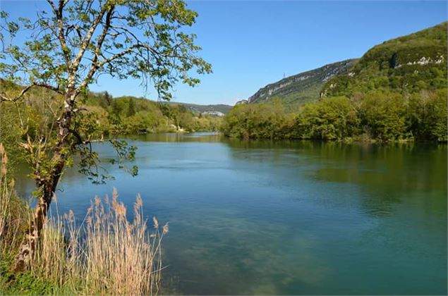 La rivière d'Ain - OTBBD