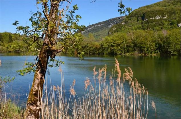 La rivière d'Ain - OTBBD