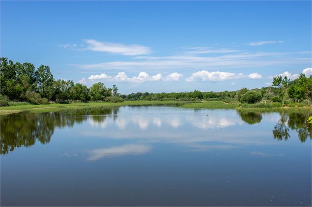 Etang de la Dombes - Michael Zeilfelder