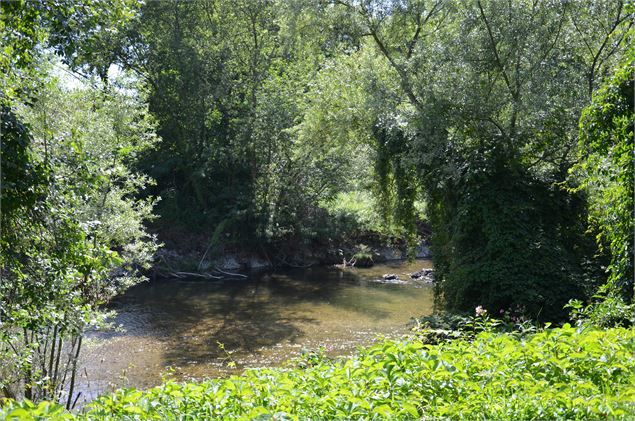 Entre Rhône et Guiers