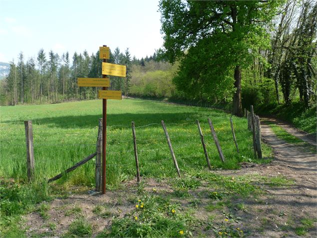 Les côteaux domessinois