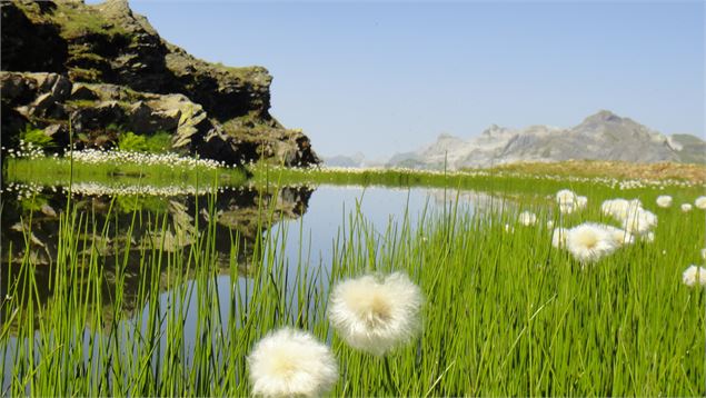 Zoom sur le lac de Pormenaz - OT Passy