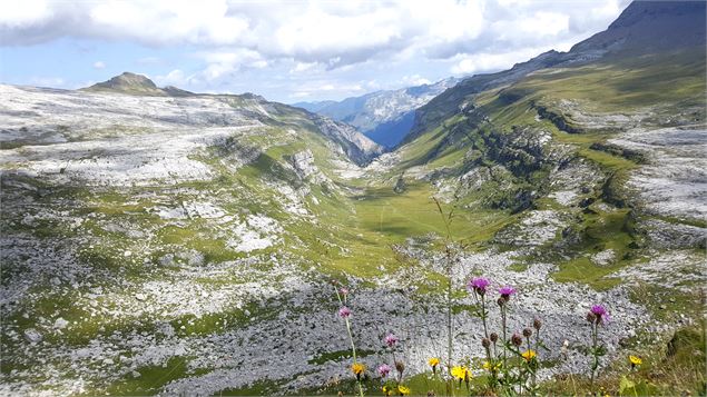 Vue sur le vallon de Sales - OT Passy