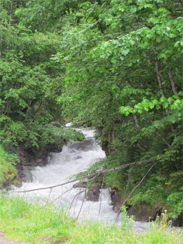 Les Gorges de la Gruvaz  © Office de tourisme