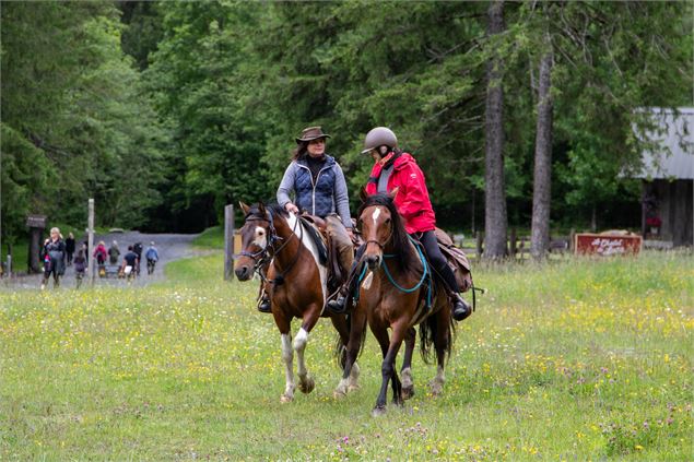 balade et randonnée à cheval - Alpes Equitation