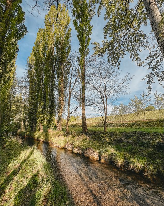 Chemin du Foron - OT Monts du Genevois - A.Modylevskaia