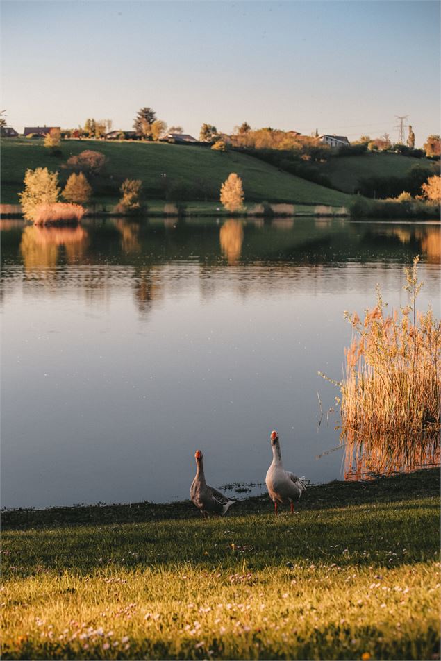 Lac de Machilly - OT Monts du Genevois - A.Modylevskaia