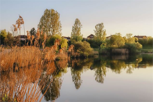 Lac de Machilly - OT Monts du Genevois - A.Modylevskaia