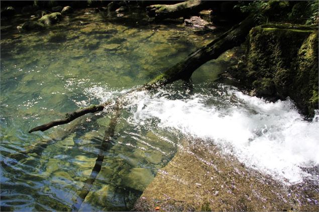 Fontaine-Noire, ENS de l'Ain - S Calland