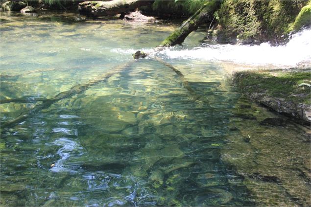 Fontaine-Noire, ENS de l'Ain - S Calland