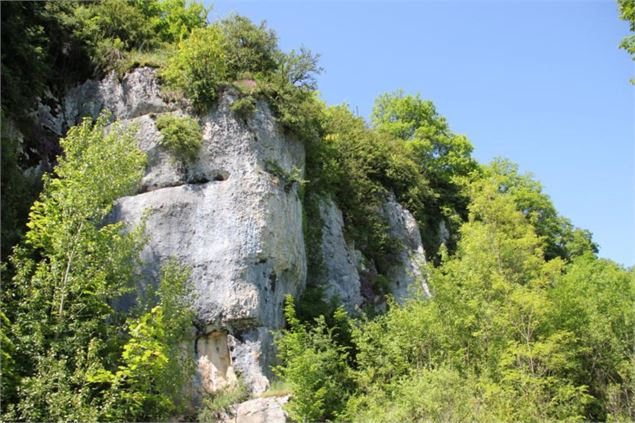 Fontaine-Noire, ENS de l'Ain - S Calland