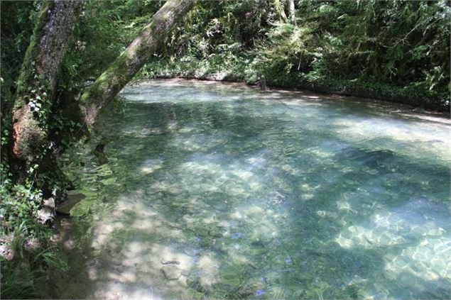 Fontaine-Noire, ENS de l'Ain - S Calland