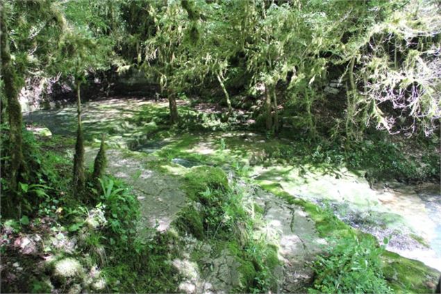 Fontaine-Noire, ENS de l'Ain - S Calland