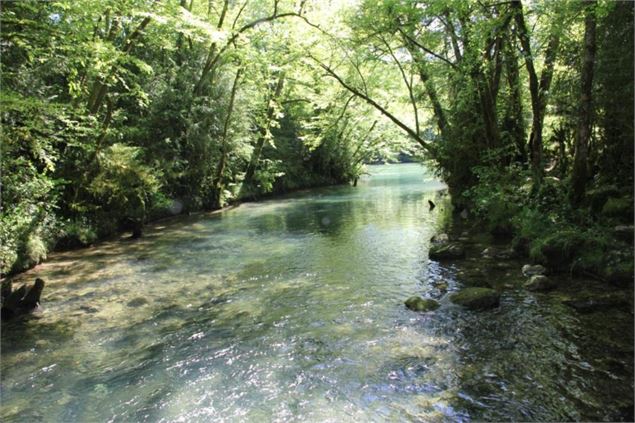 Fontaine-Noire, ENS de l'Ain - S Calland