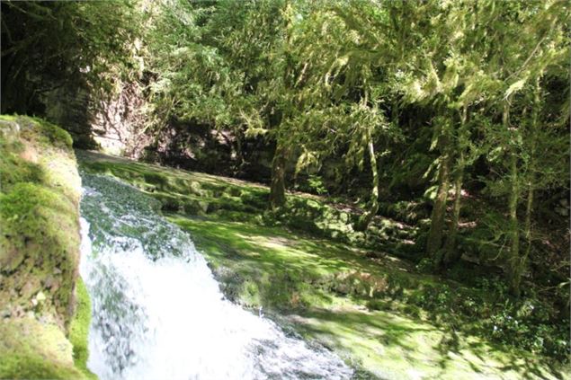 Fontaine-Noire, ENS de l'Ain - S Calland