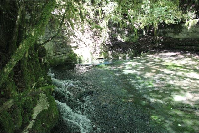 Fontaine-Noire, ENS de l'Ain - S Calland