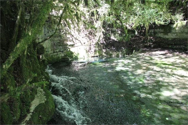 Fontaine-Noire, ENS de l'Ain - S Calland