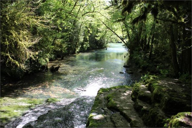 Fontaine-Noire, ENS de l'Ain - S Calland