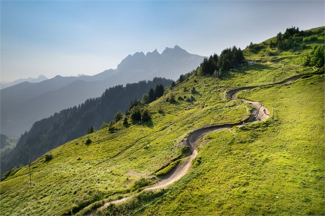 Piste DH n°3 - rouge - Crosets - Litescape media