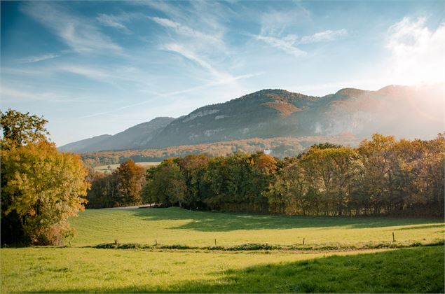 Vue sur le Salève depuis le sentier des Graniteurs - Charly - OT Monts du Genevois - A. Modylevskaia