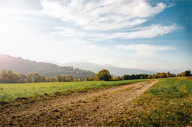 Sentier des Graniteurs - Charly - OT Monts du Genevois - A. Modylevskaia