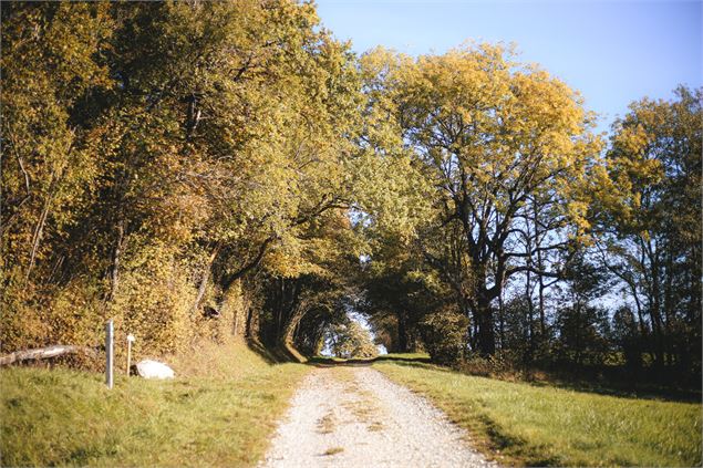 Sentier des Graniteurs à Andilly - OT Monts du Genevois - A. Modylevskaia