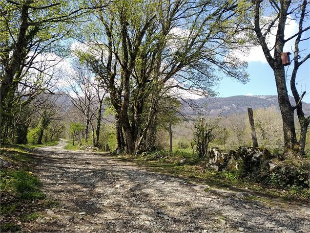 Rue de la crotte Garin - OTI