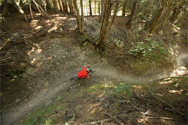 The Wood - Alban Pernet / Valloire Tourisme