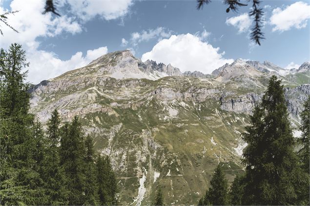 Arolle Millénaire - Val d'Isère Téléphériques