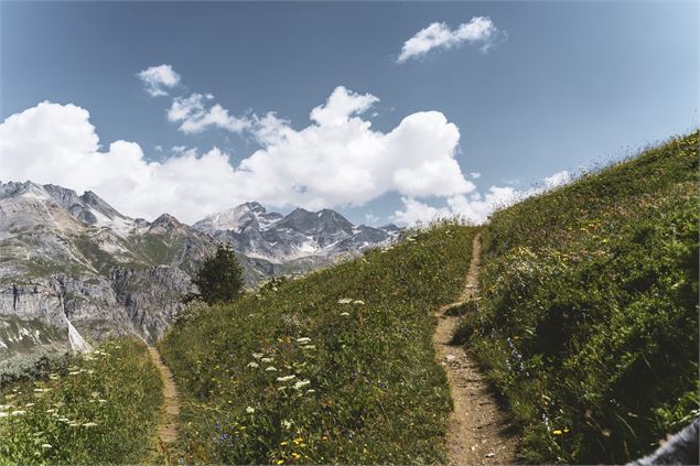 Arolle Millénaire - Val d'Isère Téléphériques