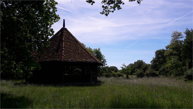 Arboretum de Ripaille