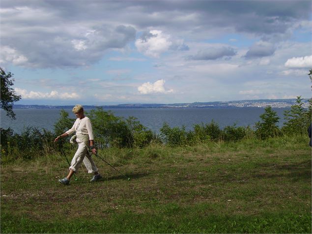 Marche dans la forêt de Ripaille