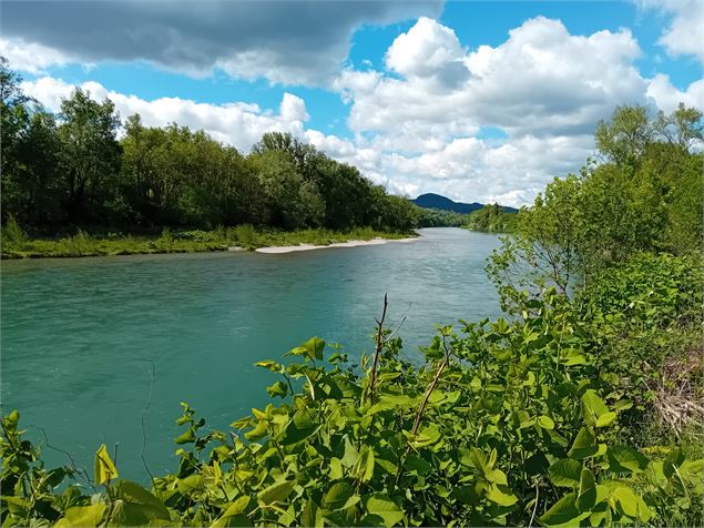 Le Rhône à Lucey - Thierry Cellier