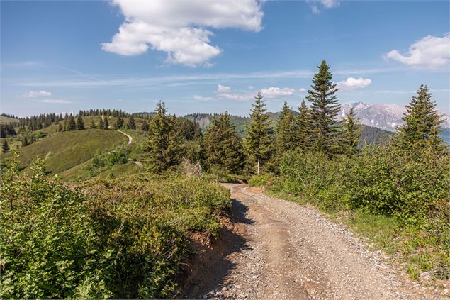 Chemin de terre sur le Jaillet