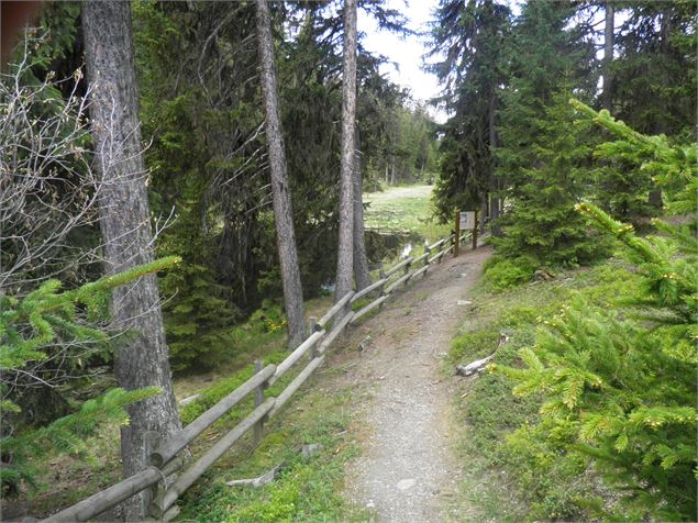 Tourbière du Lac Noir - OTGP