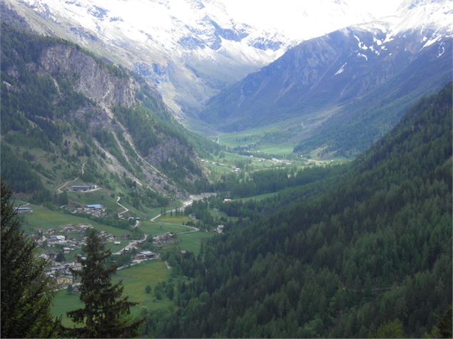 Vue sur la Vallée de Peisey - OTMLP