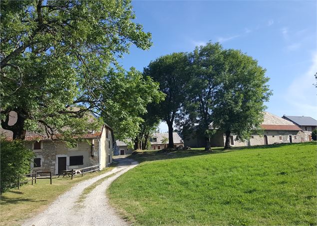 Sentier pédestre du Mont Clergeon - grande boucle - K.Mandray