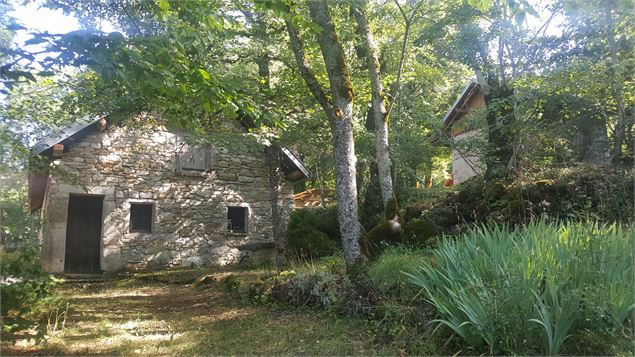 Sentier pédestre du Mont Clergeon - grande boucle - K.Mandray