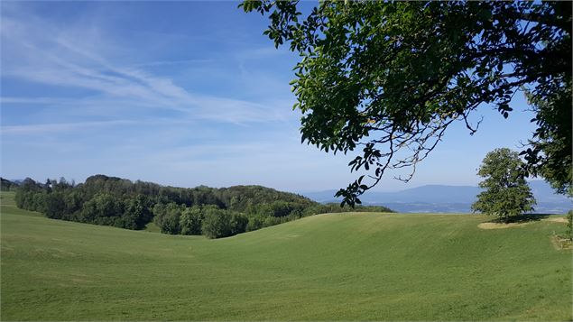 Sentier pédestre du Mont Clergeon - grande boucle - K.Mandray