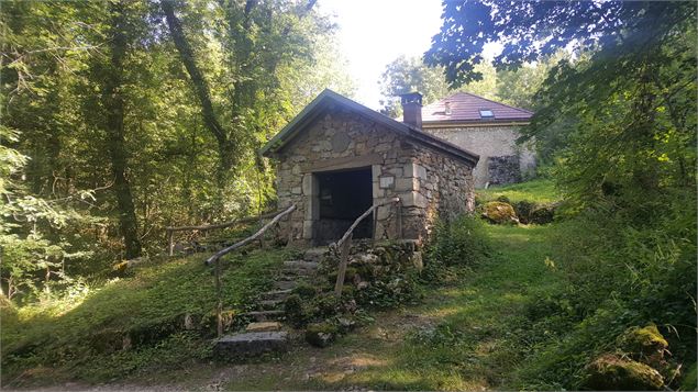 Sentier pédestre du Mont Clergeon - grande boucle - K.Mandray