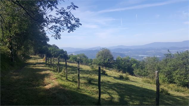 Sentier pédestre du Mont Clergeon - grande boucle - K.Mandray