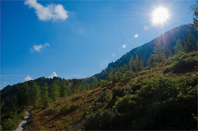 Sentier Mont Saint Jacques - Amandine Elie