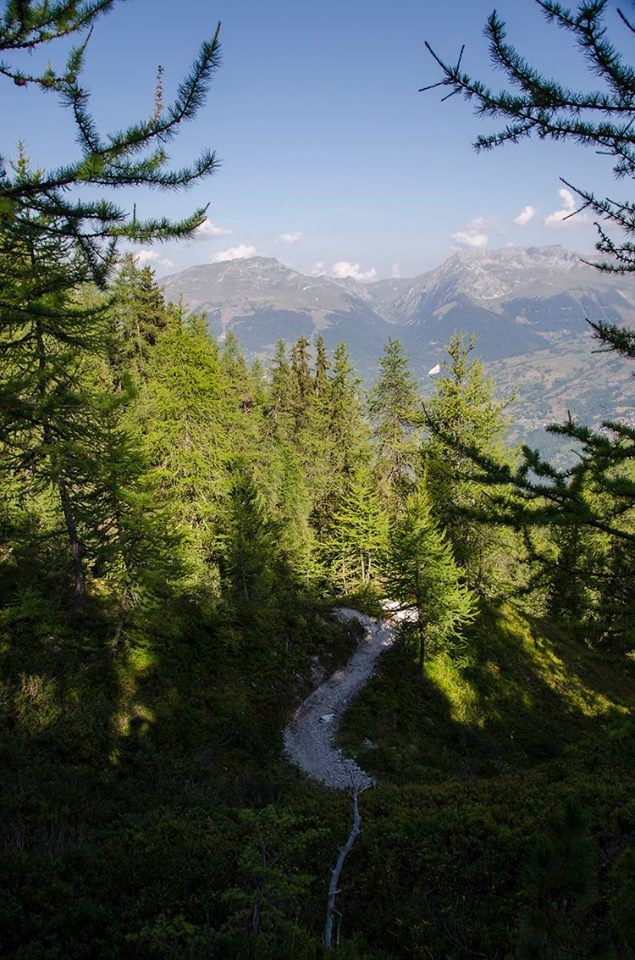 Sentier Mont Saint Jacques - Amandine Elie