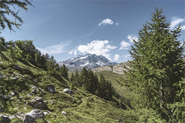 spatule - Val d'Isère Téléphériques / Maxime Bouclier