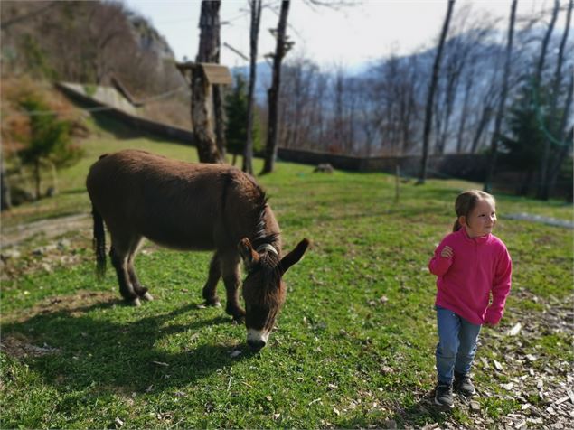 Les enfants rencontrent la faune - Fort de Tamié