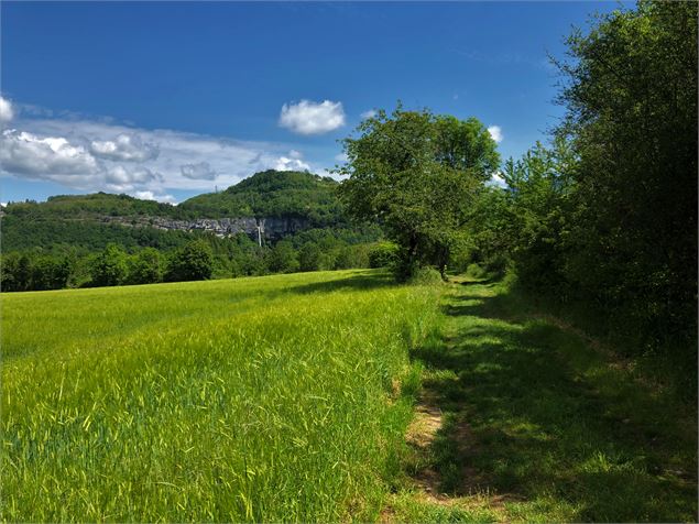 Vu de la cascade de Cerveyrieu depuis le massif de Fierloz - Maxime Ballet