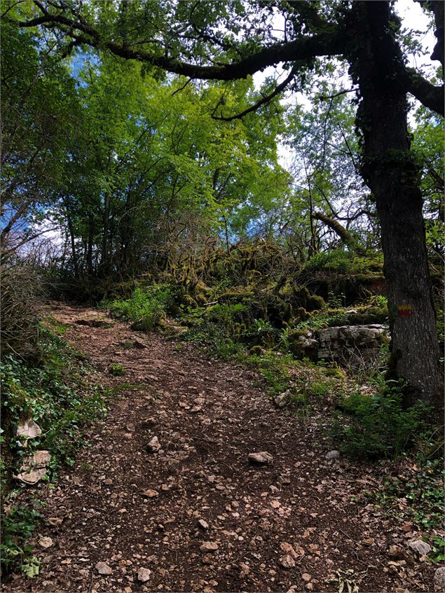 Chemin au dessus de Champdossin - Valromey-Sur-Séran - Maxime Ballet