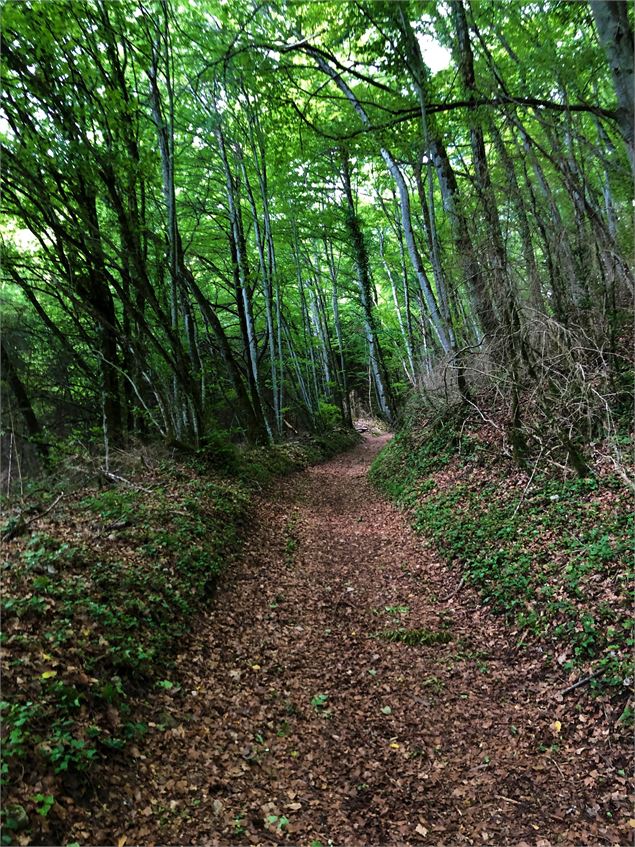 Chemin au dessus de Champdossin - Valromey-Sur-Séran - Maxime Ballet