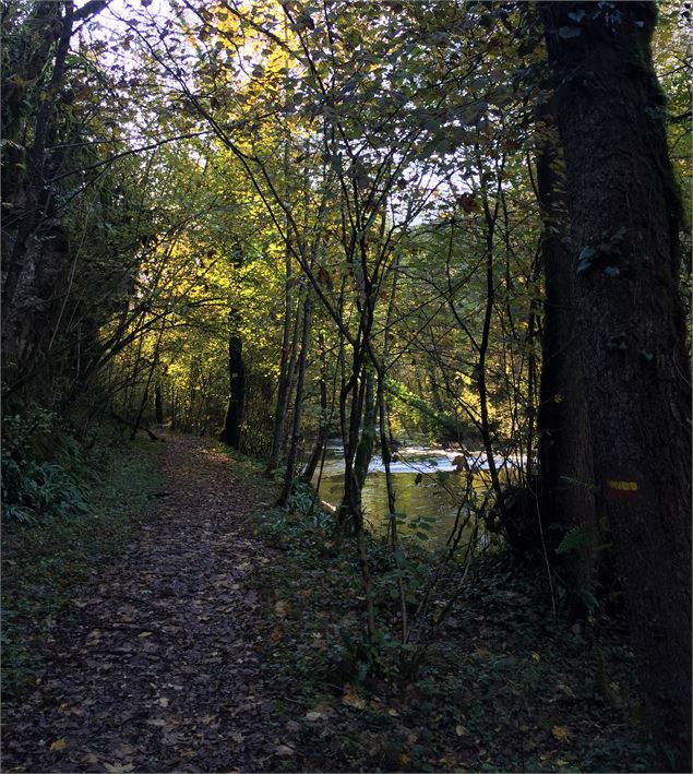 Rivière du Gland - © Maxime Ballet